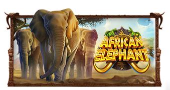 ทดลองเล่น African Elephant