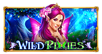 ทดลองเล่น Wild Pixies